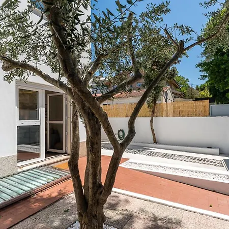 Gasthof Guestready - Fantastic Family In Salgueiros